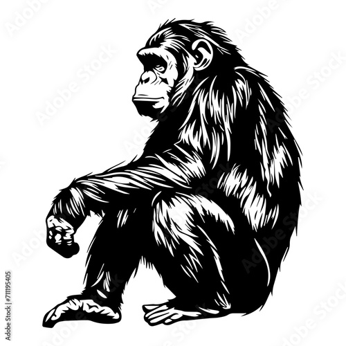 Ape black silhouette logo svg vector, chimp icon, Ape Illustration
