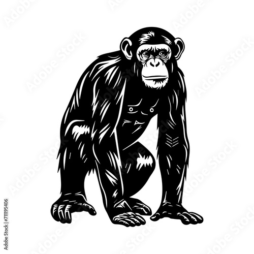 Ape black silhouette logo svg vector, chimp icon, Ape Illustration
