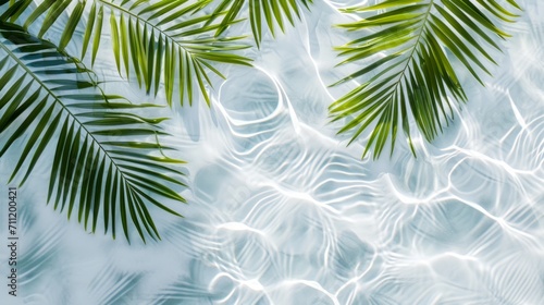 Spa concept with a palm leaf in wavy water. Abstract, transparent tropical water texture surface with palm leaves. top view, beauty backdrop, mockup, spa and wellness, copy space