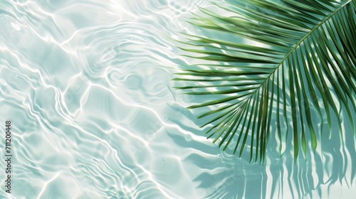 Spa concept with a palm leaf in wavy water. Abstract, transparent tropical water texture surface with palm leaves. top view, beauty backdrop, mockup, spa and wellness, copy space