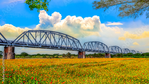The spectacular Warren Truss Old Railway Bridge over scenic flower field, attractive cloudy cloudscape form a charming scene. Dashu , Kaohsiung,Taiwan..High quality photo © 林智遠 