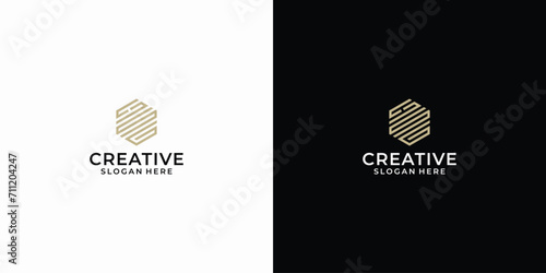 Initial h s g hexagon logo vector