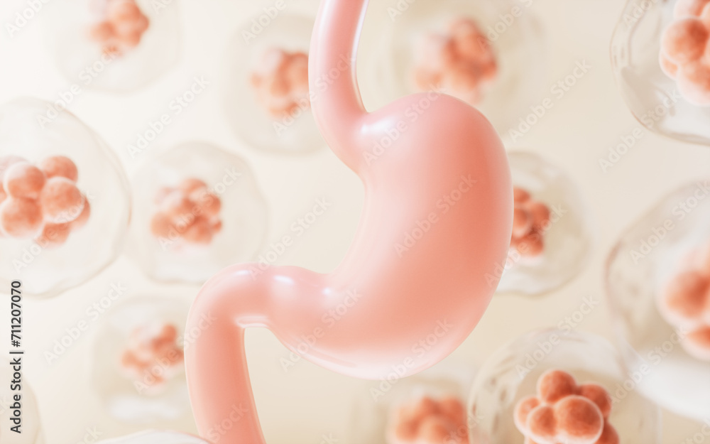 Human stomach and cell background, 3d rendering. Human stomach and cell background, 3d rendering.