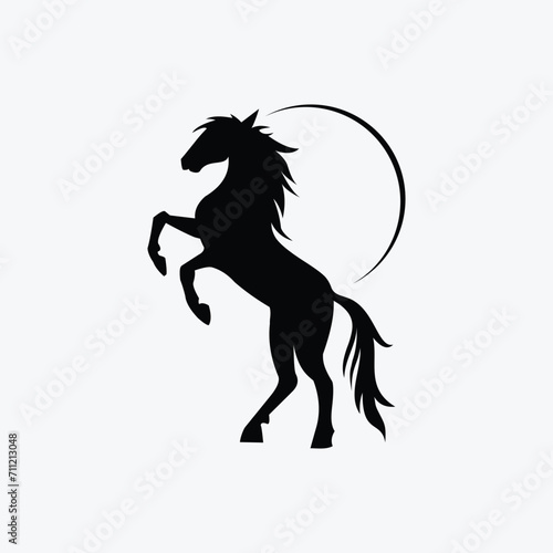 Fototapeta Naklejka Na Ścianę i Meble -  black horse