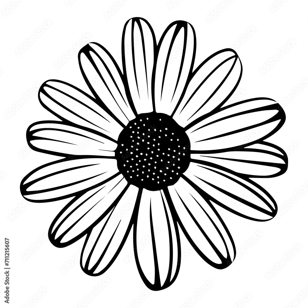 beautiful monochrome, black and white daisy flower beautiful monochrome, black and white daisy flower
