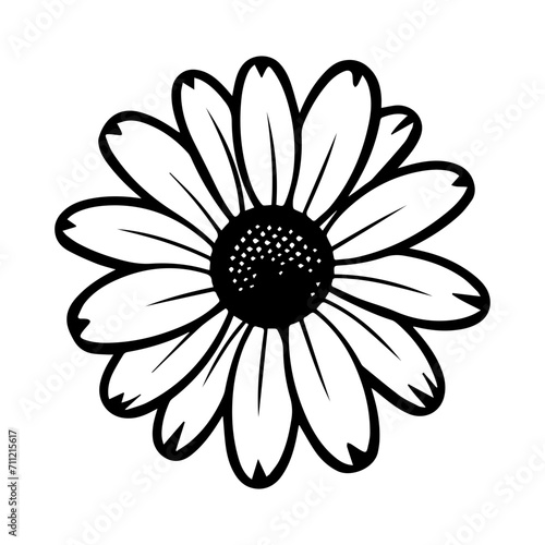 beautiful monochrome, black and white daisy flower