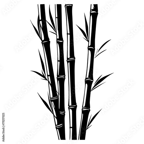 Silhouette bamboo leaves