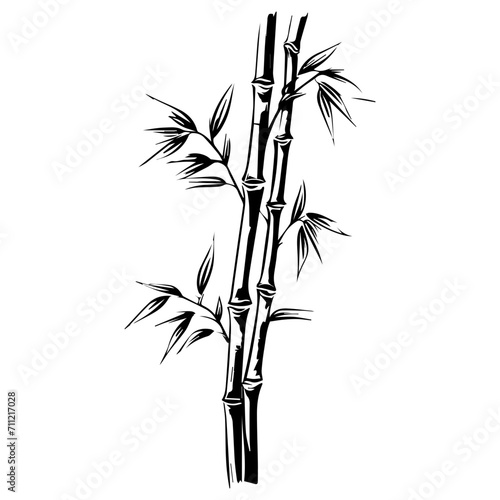 Silhouette bamboo leaves
