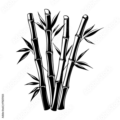 Silhouette bamboo leaves