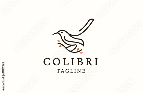 Hummingbird logo design. colibri icon illustration template