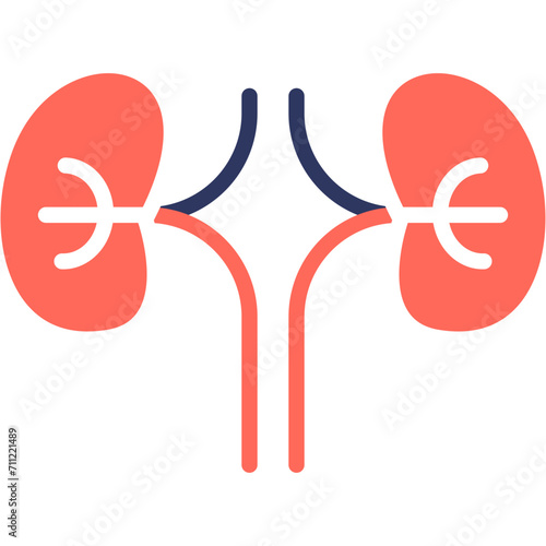 Nephrology Icon