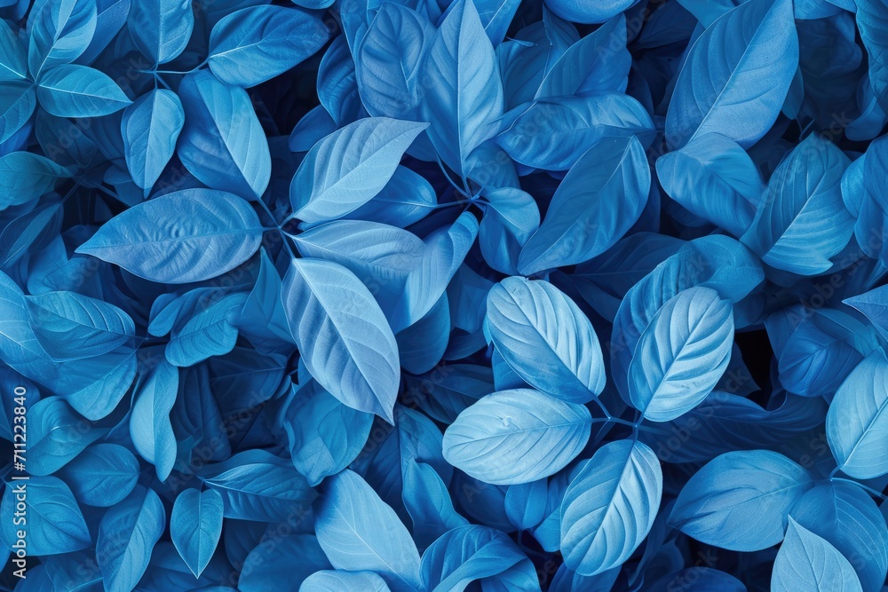 Leaves background. Tropical leaf Leaves background. Tropical leaf