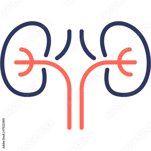 Nephrology Icon