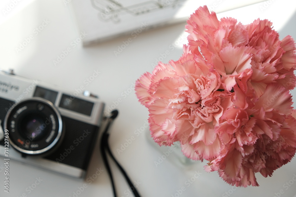 pink carnation and camera on table