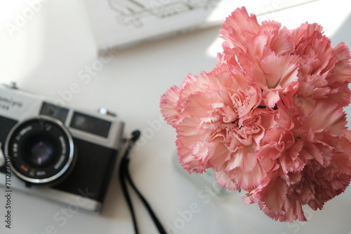 Obraz na płótnie pink carnation and camera on table w salonie