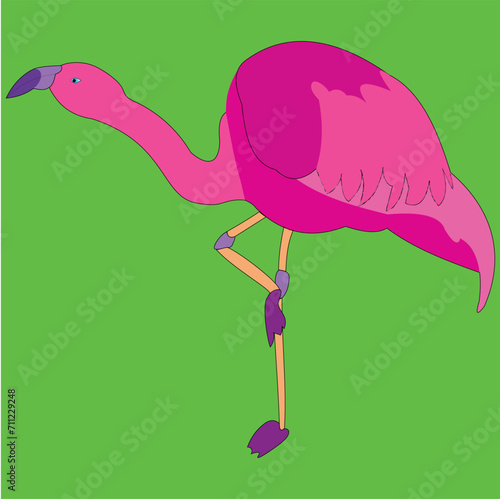 The pink flamingo stands on one leg, pressing the other leg against the leg on which it rests. Large pink bird.