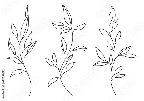 Set of Plants with Leaves Line Art Drawing. Simple Vector Botanical Illustration. Trendy Greenery Outline Hand Drawn Sketches Collection. Floral Set for Social Media, Vegan and Cosmetic Logo, Tattoo