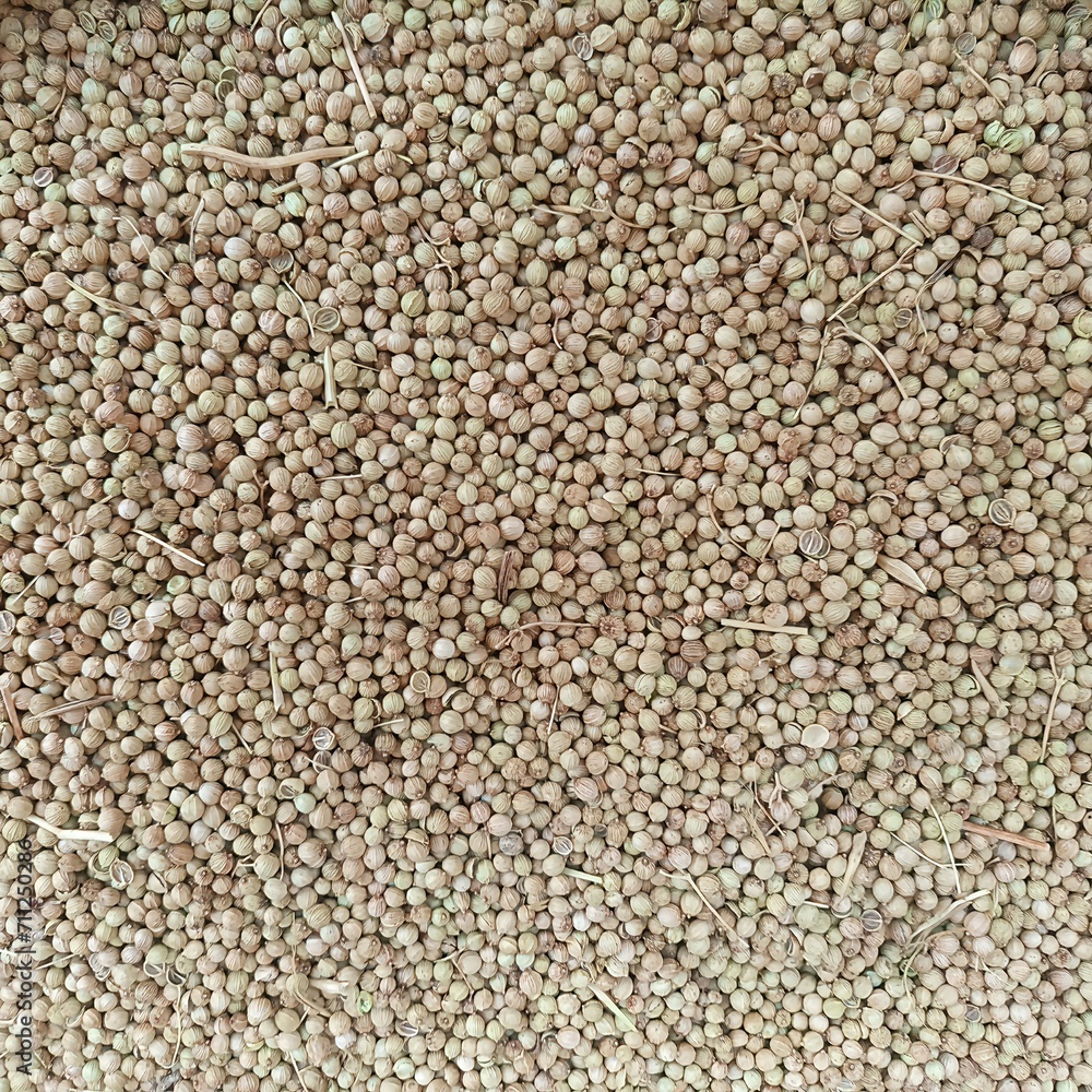 Background of granulated brown spices close-up.Buckwheat groats background Background of granulated brown spices close-up.Buckwheat groats background