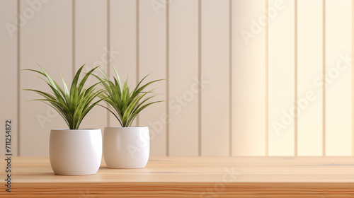 観葉植物　インテリア