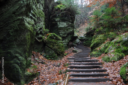 Felsen und Wege im Gestein im Elbsandsteingebirge - Schwedenl  cher