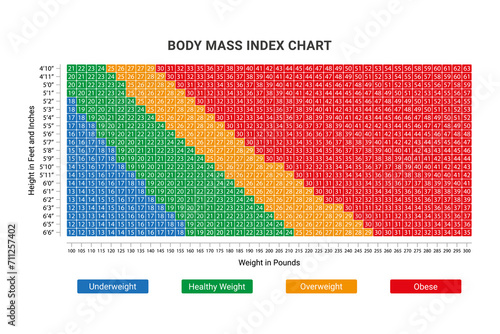 Body mass index (BMI) chart transparent background. BMI calculator to check people's body mass index. photo