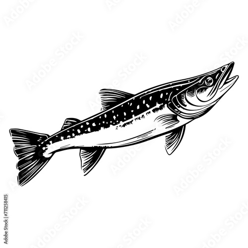 northern pike fish black silhouette logo svg vector, pike fish  icon illustration. photo
