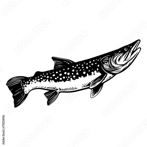 northern pike fish black silhouette logo svg vector, pike fish  icon illustration.