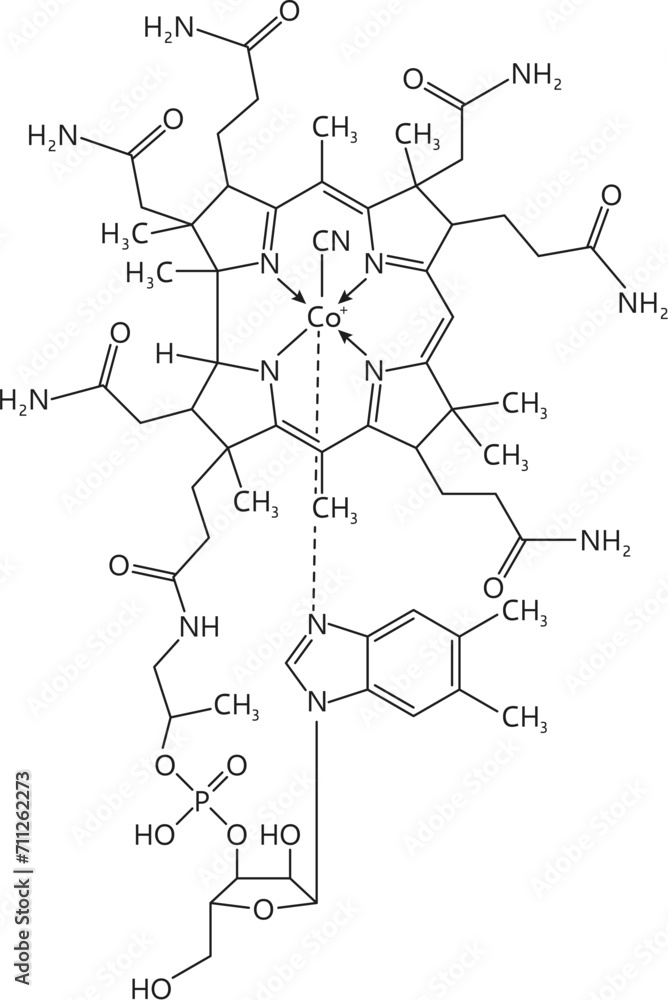 Vitamin b12, or cobalamin, essential for nerve function. Vector scheme ...