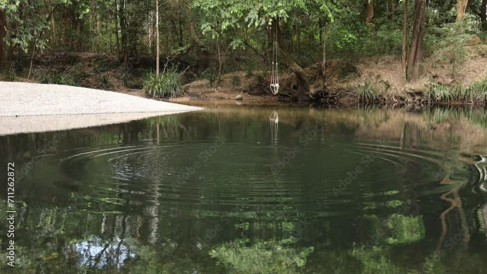 Tranquil Pond and Forest Path Tranquil Pond and Forest Path