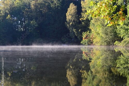 Pond in Autumn in the Heath Lüneburger Heide, Grasbeck, Walsrode, Lower Saxony