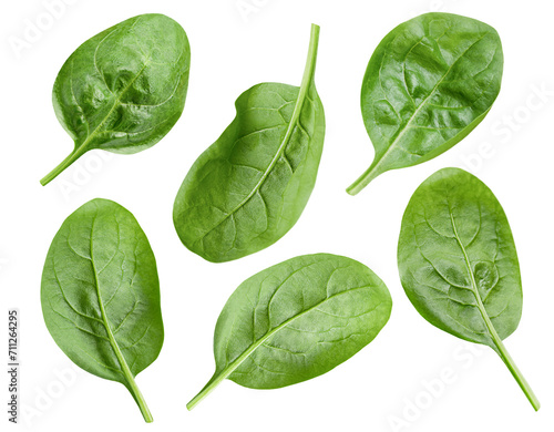 spinach leaves on white isolated background