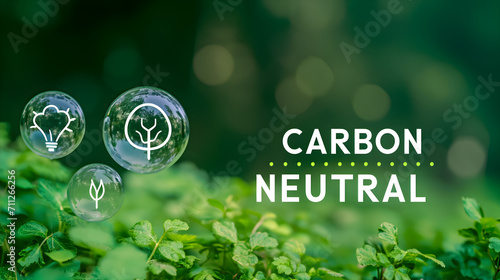 Net zero and carbon neutral concept. Net Zero text in bubbles with forest. for net zero greenhouse gas emissions target Climate neutral long term strategy on a green background. Carbon Neutrality photo
