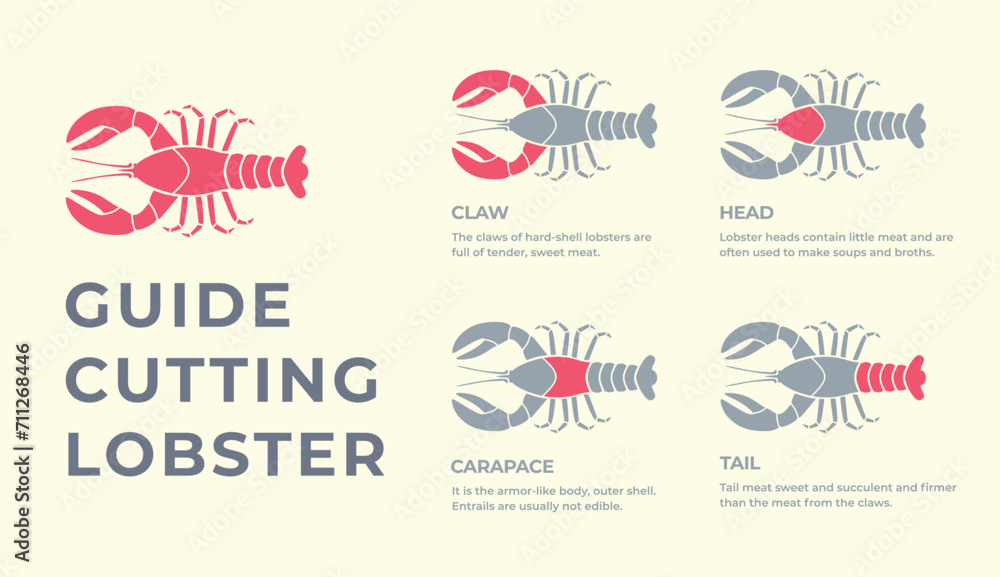 Cutting meat lobster carcass, seafood, turkey, pork, lamb, cow, chicken guide. Diagrams сutting parts meat lobster, seafood. Butcher guide. Vector flat color drawing illustration. Isolated. Cutting meat lobster carcass, seafood, turkey, pork, lamb, cow, chicken guide. Diagrams сutting parts meat lobster, seafood. Butcher guide. Vector flat color drawing illustration. Isolated.