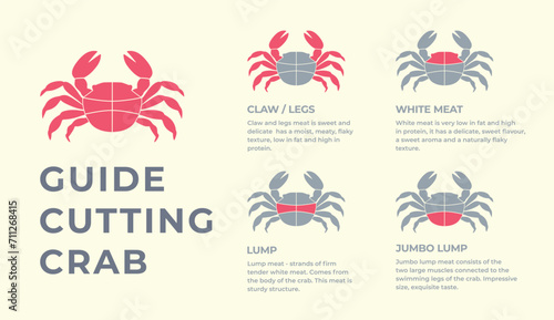 Cutting meat lobster carcass, seafood, turkey, pork, lamb, cow, chicken guide. Diagrams сutting parts meat lobster, seafood. Butcher guide. Vector flat color drawing illustration. Isolated.