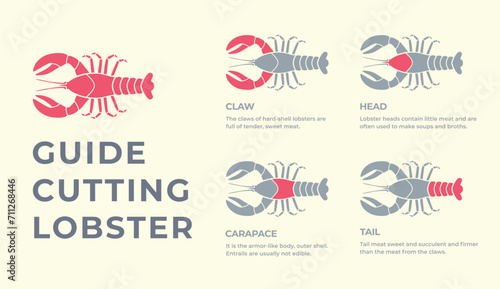 Cutting meat lobster carcass, seafood, turkey, pork, lamb, cow, chicken guide. Diagrams сutting parts meat lobster, seafood. Butcher guide. Vector flat color drawing illustration. Isolated.