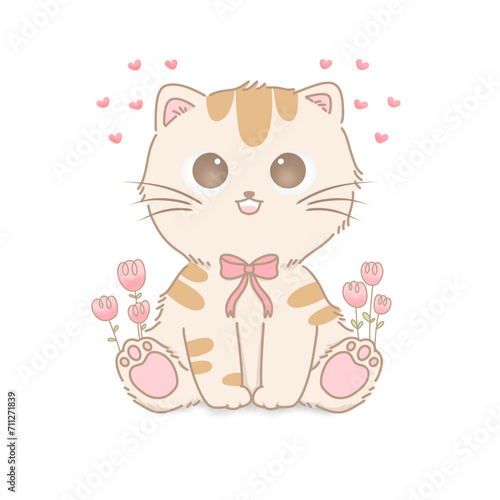 Valentine cute cat