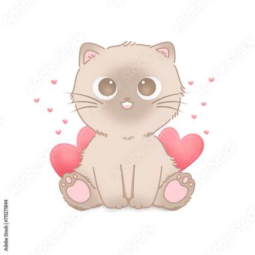 Valentine cute cat 
