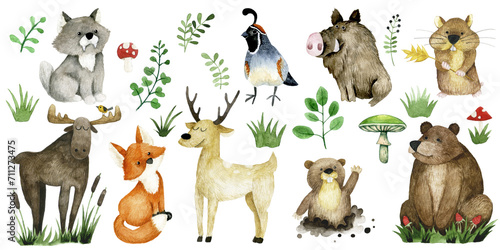set of cute forest animals, watercolor drawing. bear, elk, deer, wolf and fox
