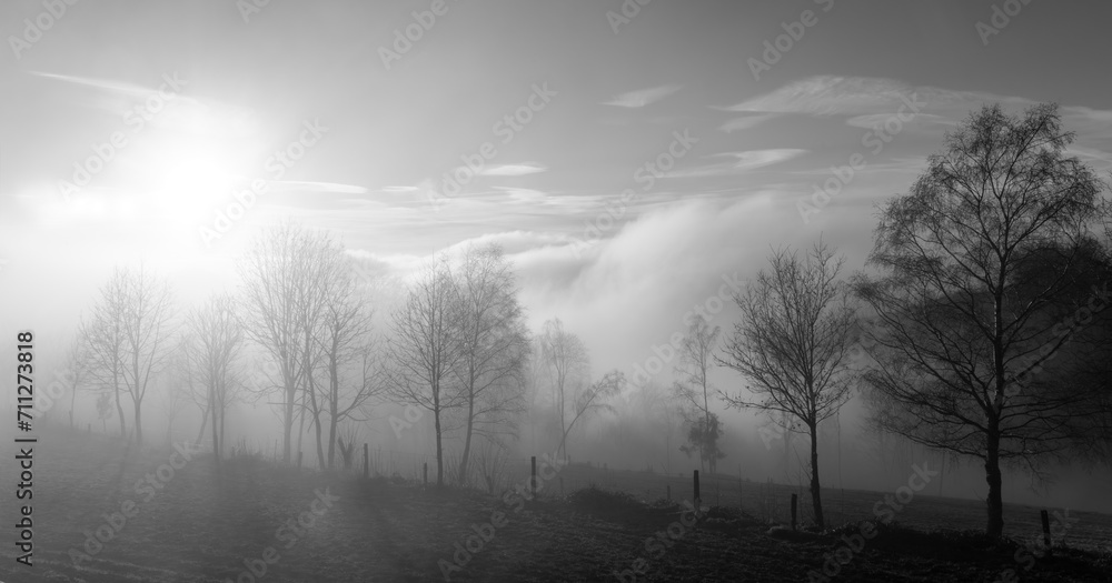 Misty scenery in Sauerland Germany on a foggy winters day. Wide angle panorama near Altena and Iserlohn with low sun and bare trees in rural landscape. Black and white mystic atmosphere in rural area. Misty scenery in Sauerland Germany on a foggy winters day. Wide angle panorama near Altena and Iserlohn with low sun and bare trees in rural landscape. Black and white mystic atmosphere in rural area.