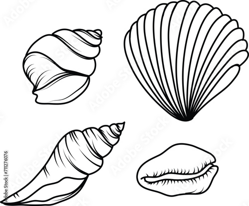 Sea shells vector set. Sea shell hand drawn illustration