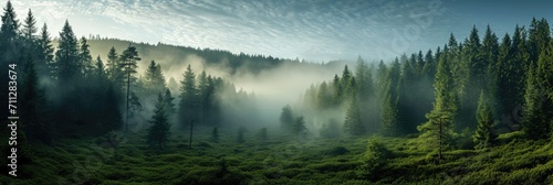 A wide panorama of the forest through the morning fog in the spring. Generative AI. © visoot