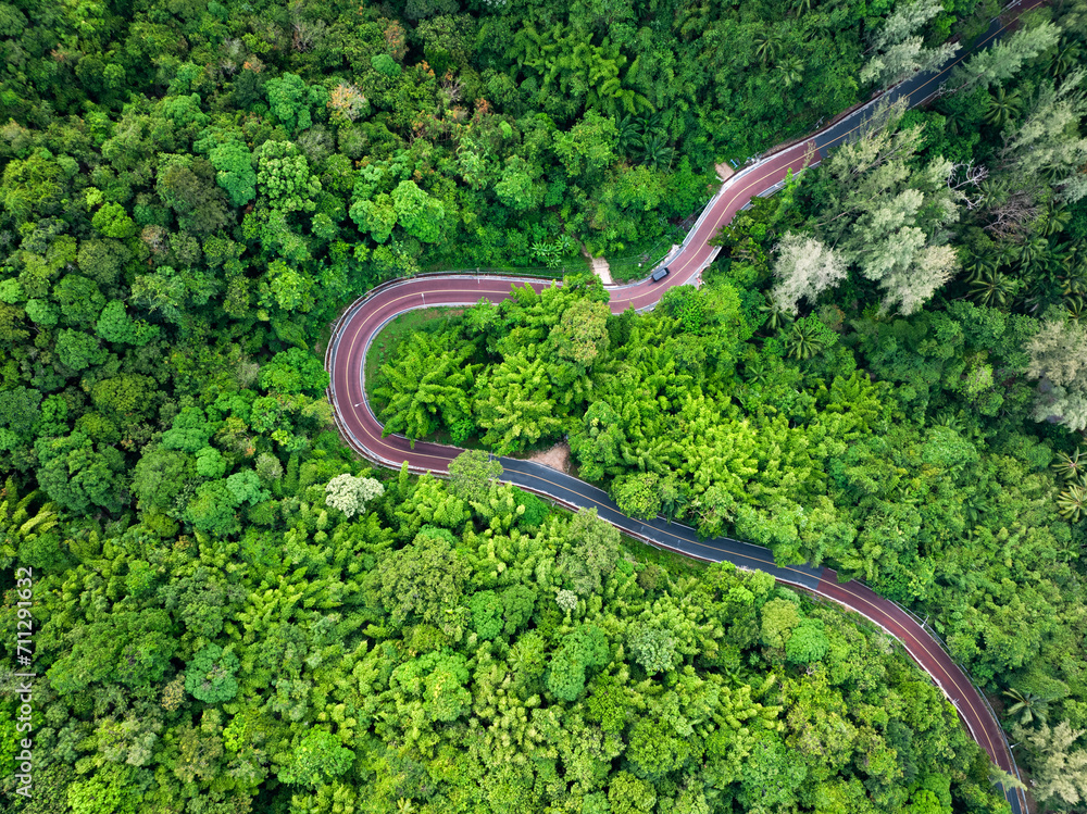 View from above, stunning aerial view of a road surrounded by green vegetations and palm trees. Phuket, Thailand.