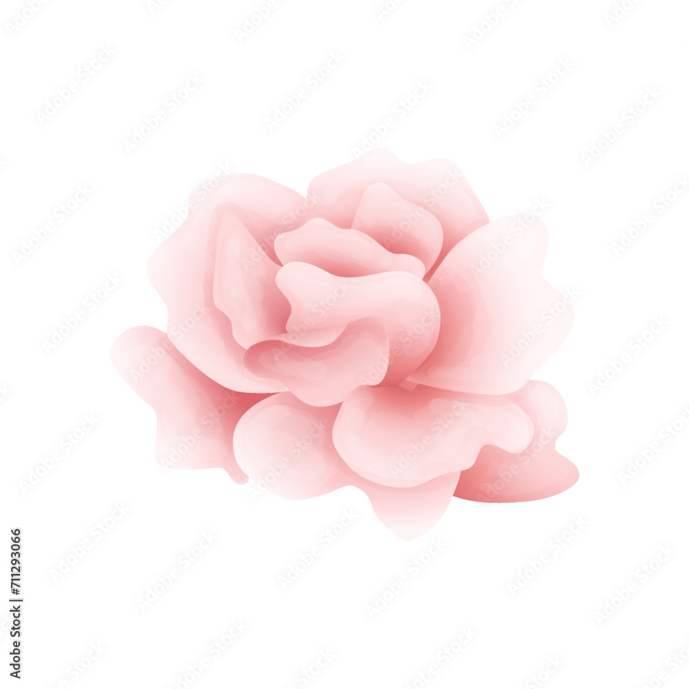 Vector red rose isolated on white background Vector red rose isolated on white background