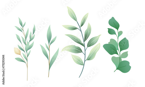 Vector set of watercolor flower and leaf on white