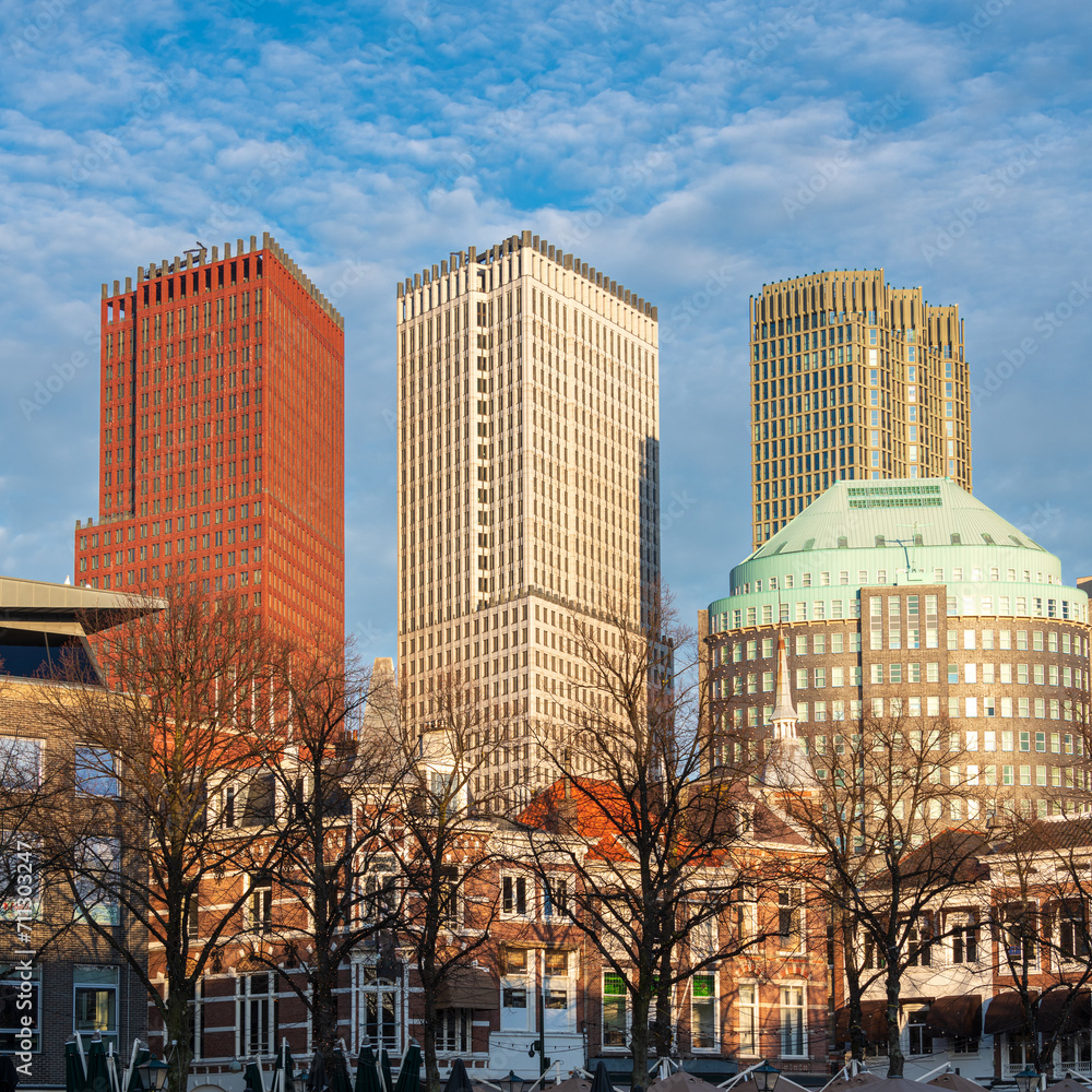 Obraz premium view of The Hague and its courthouse, Holland, Netherlands