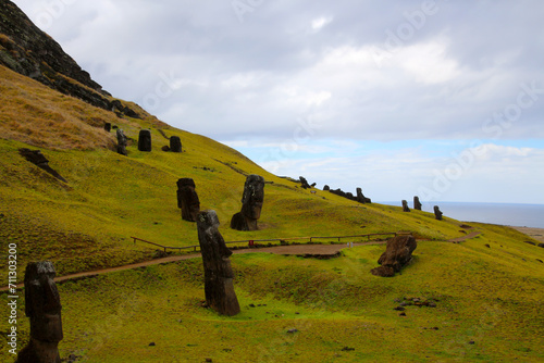 Moai statues that were never completed in the quarry of at Rano Raraku, Easter Island, Chile, South America photo