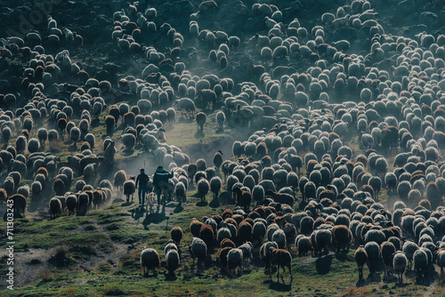 Fototapeta Naklejka Na Ścianę i Meble -  Sheep herders and their flocks go to pasture in the dust.