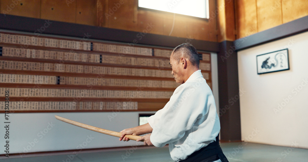 Aikido sword, mature sensei and man teaching class, self defense or