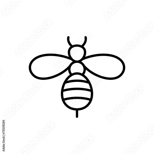 Bee outline icons, insect minimalist vector illustration ,simple transparent graphic element .Isolated on white background