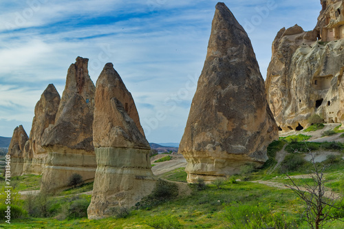Obraz na płótnie Typical Cappadocia landscape soft volcanic rock, shaped by erosion in Goreme, Turkey. w salonie